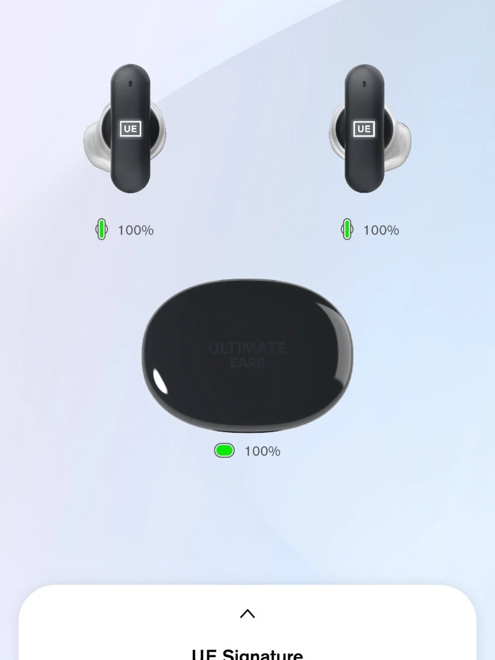 UE Black True Wireless Earbuds with White Charging Cable